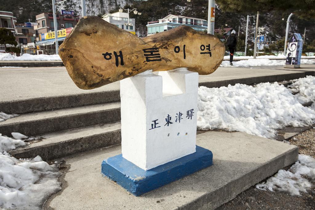 정동진 썬크루즈 호텔 강릉 외부 사진